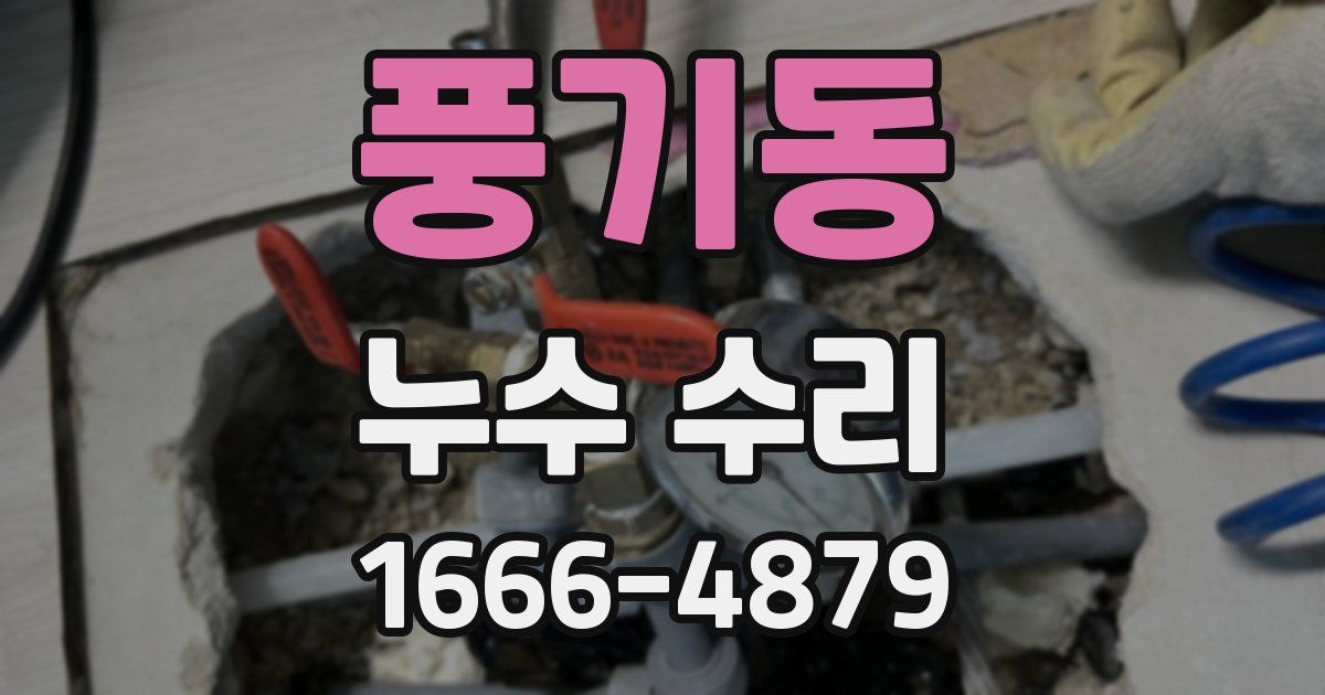 풍기동 누수 수리