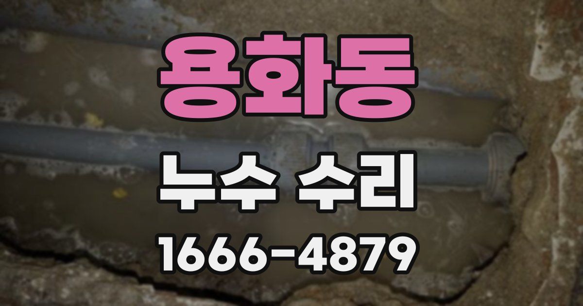 용화동 누수 수리