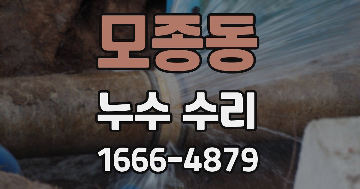 모종동 누수 수리