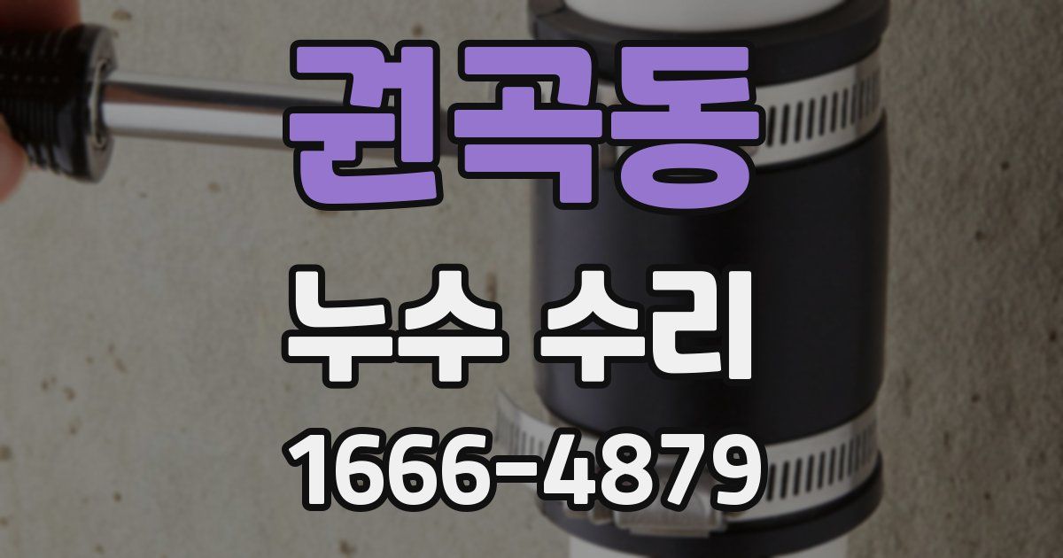 권곡동 누수 수리