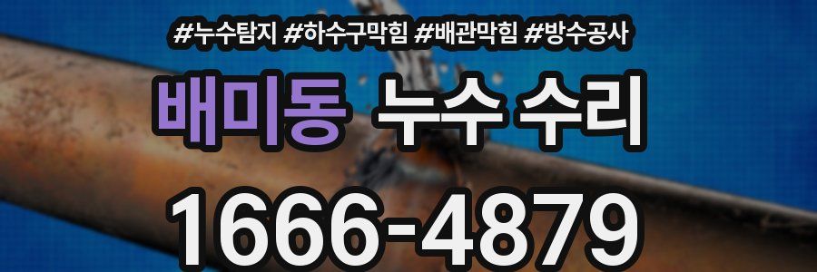 배미동 누수 수리