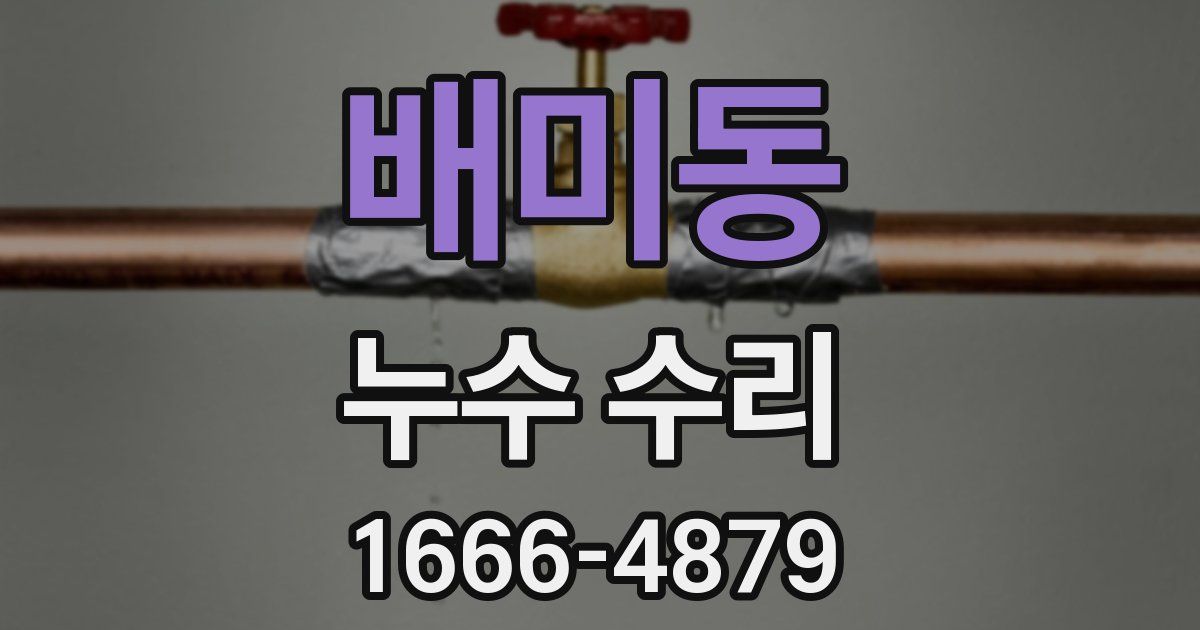 배미동 누수 수리