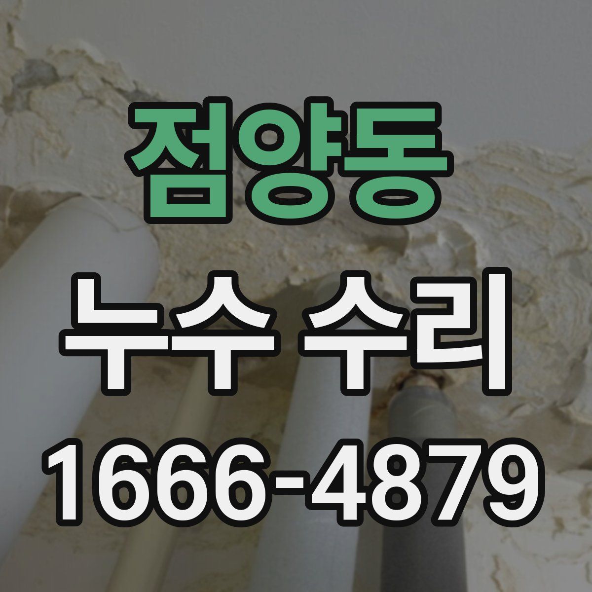 점양동 누수 수리