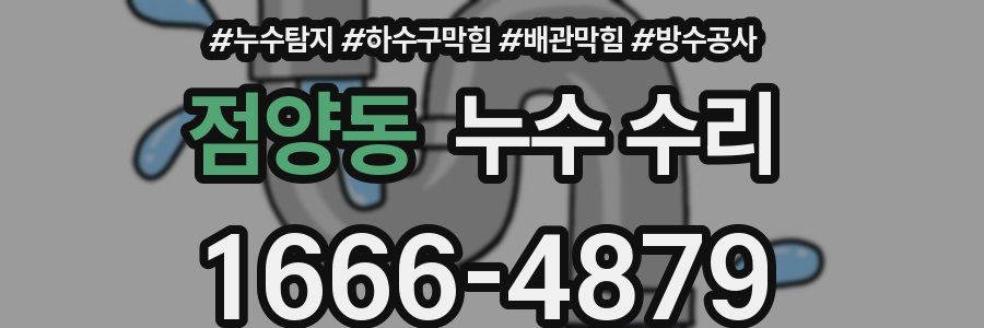 점양동 누수 수리
