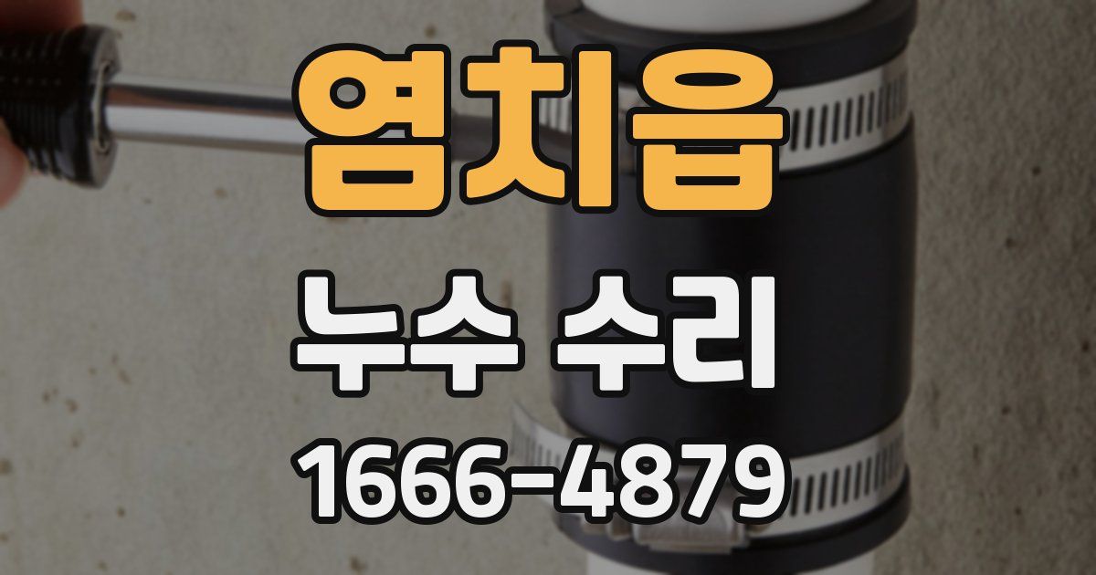 염치읍 누수 수리
