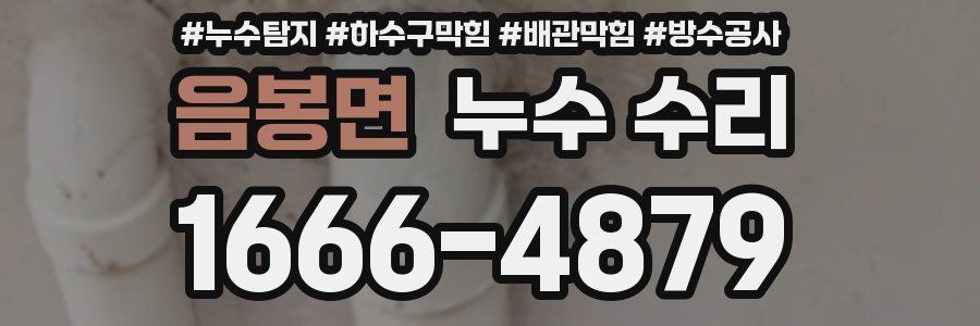음봉면 누수 수리