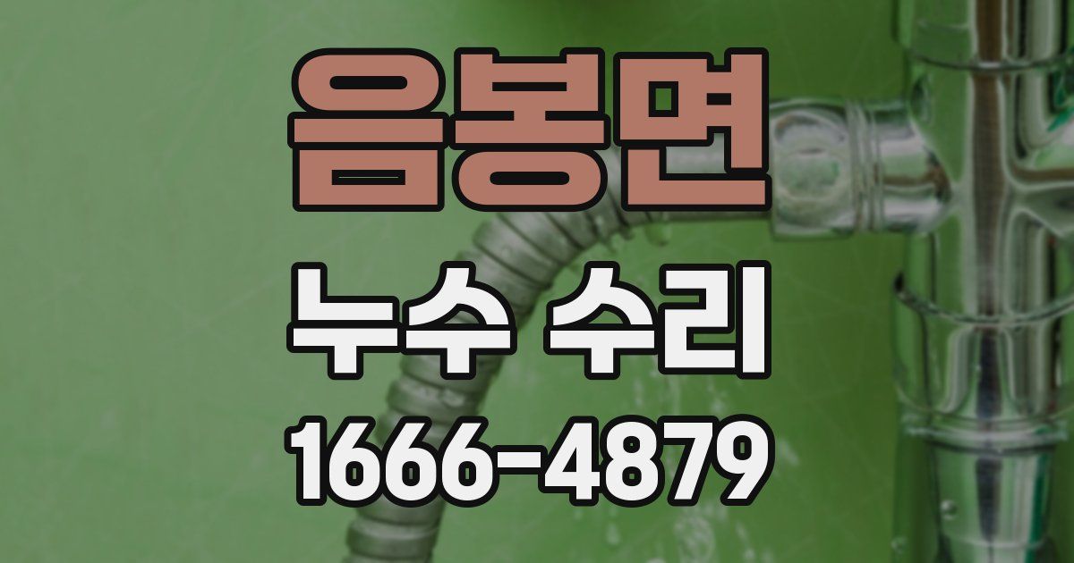 음봉면 누수 수리