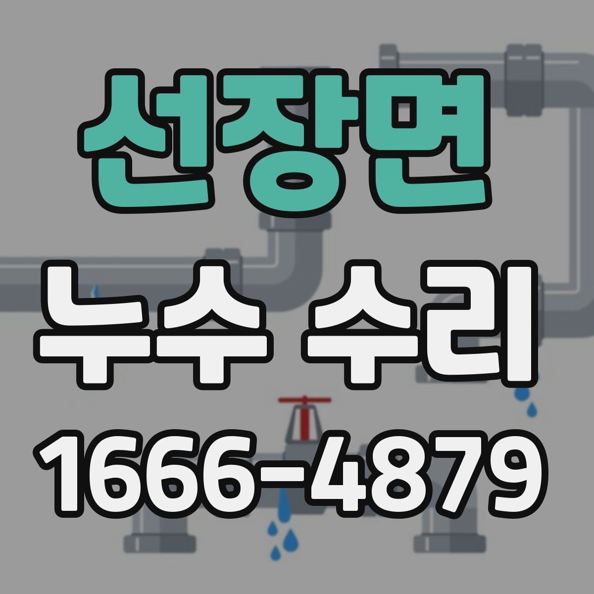 선장면 누수 수리