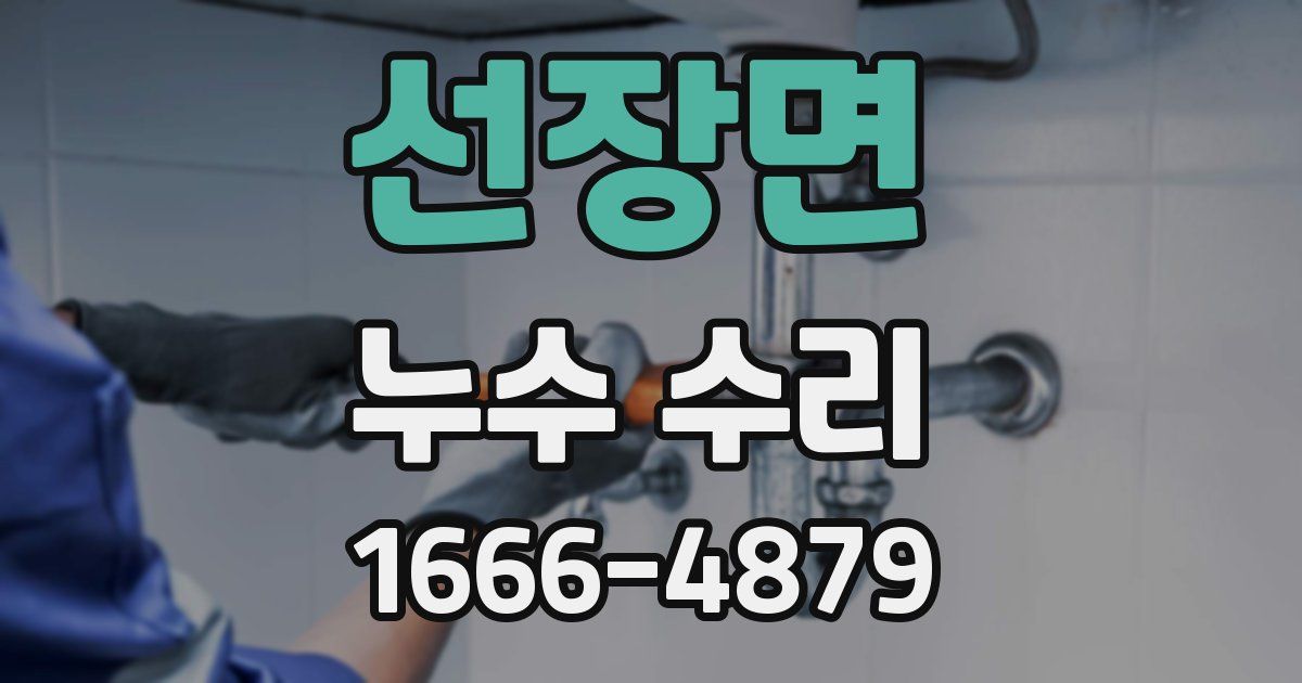 선장면 누수 수리