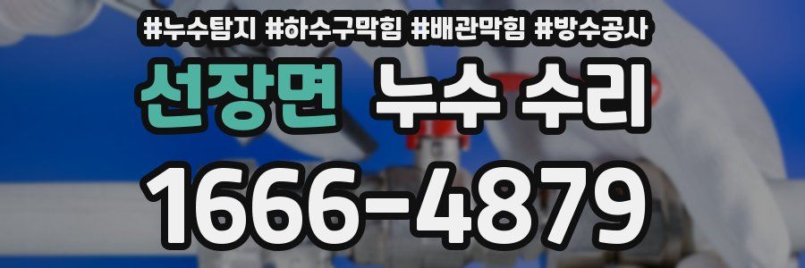 선장면 누수 수리