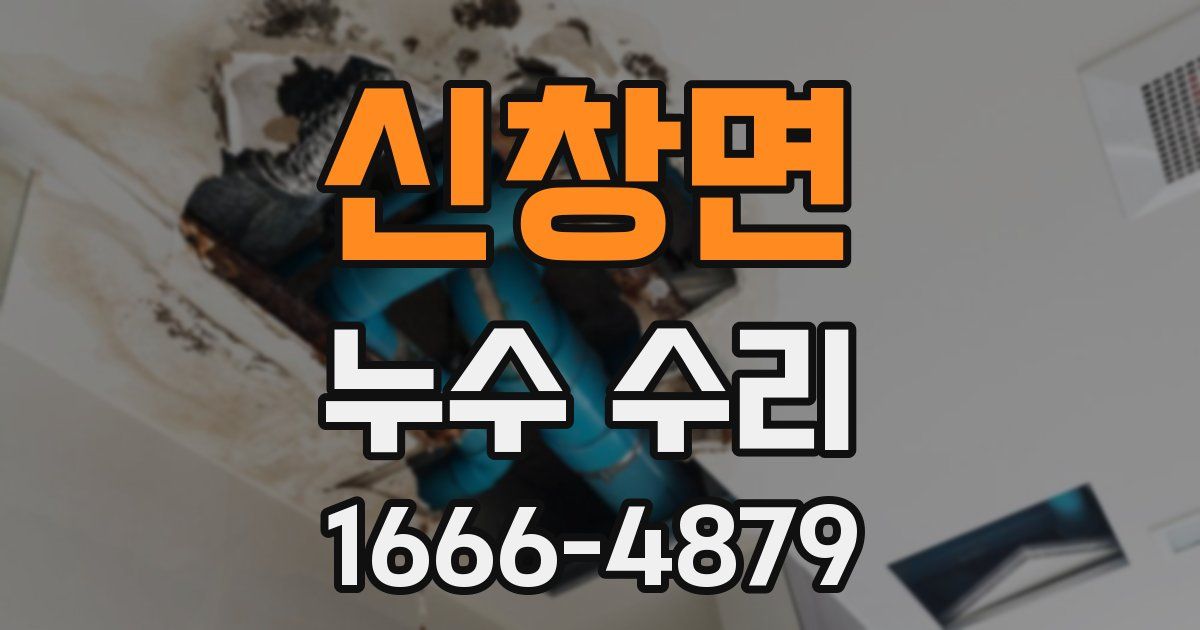 신창면 누수 수리
