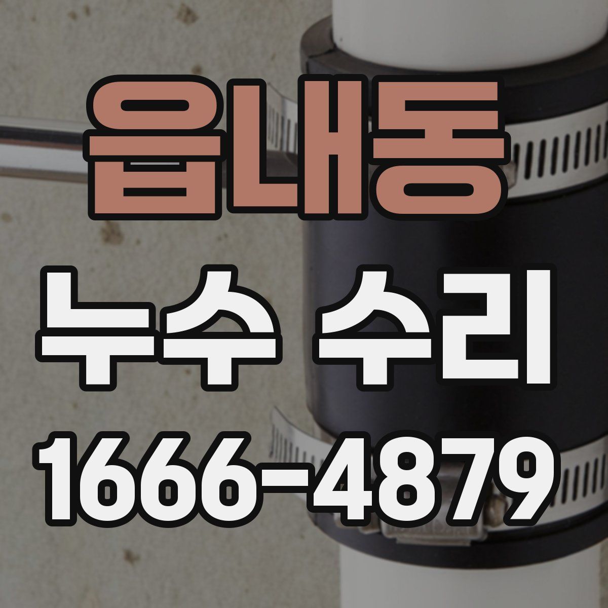 읍내동 누수 수리