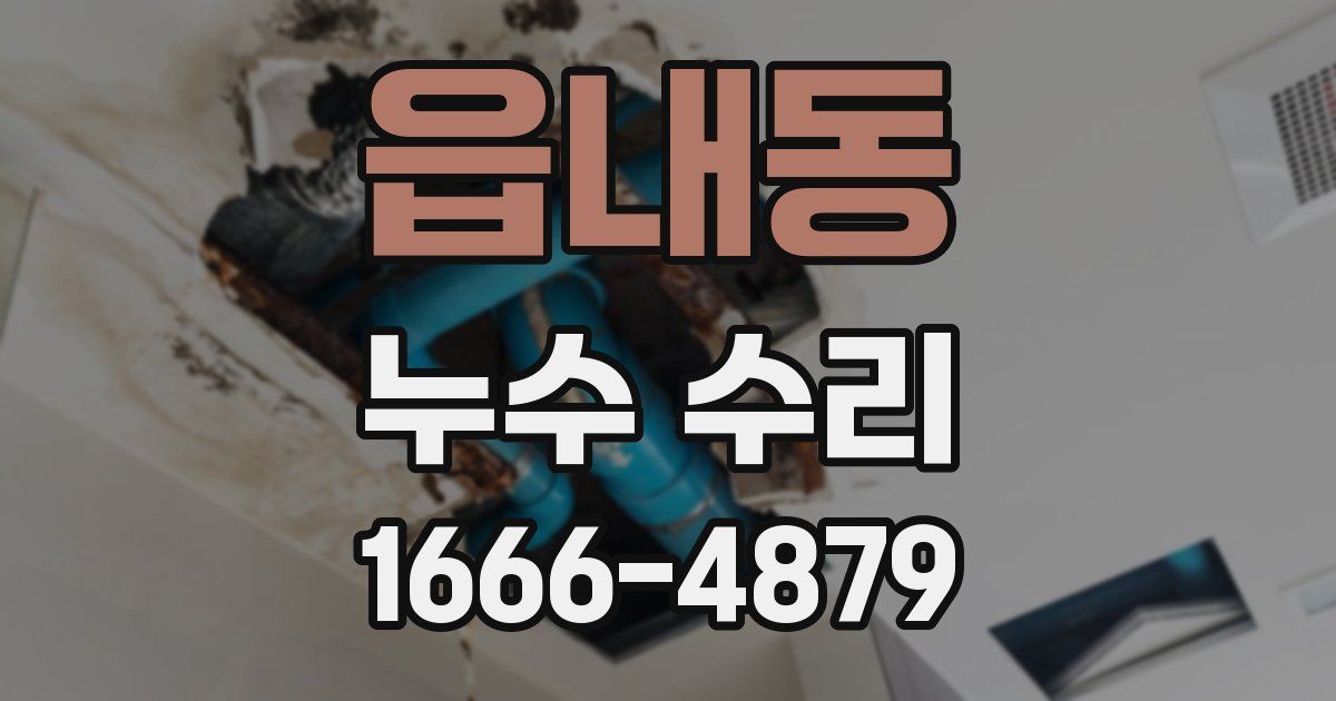 읍내동 누수 수리