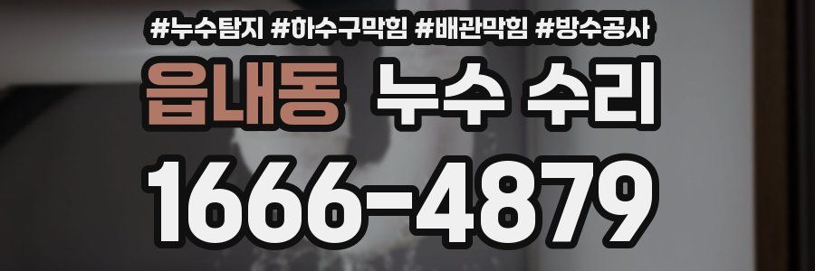 읍내동 누수 수리
