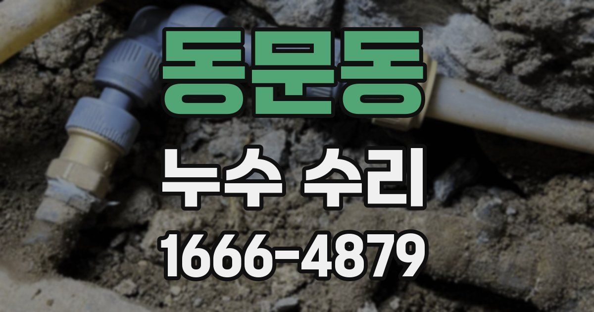 동문동 누수 수리