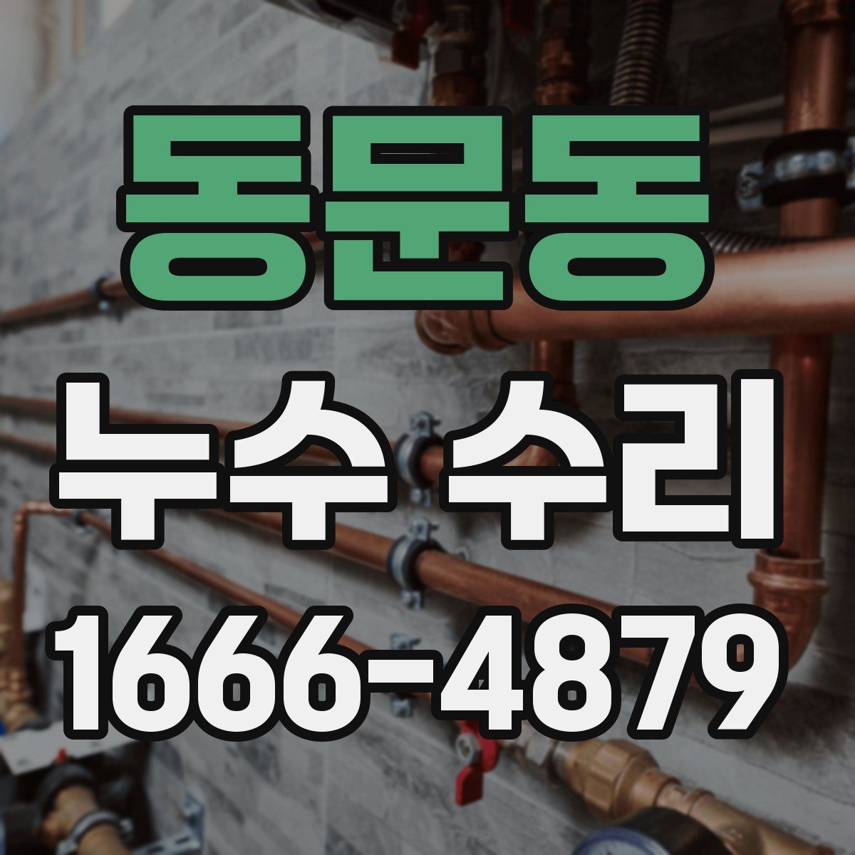 동문동 누수 수리
