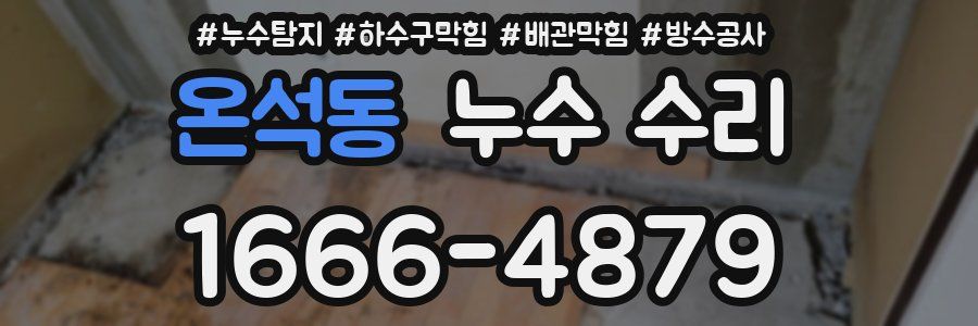 온석동 누수 수리