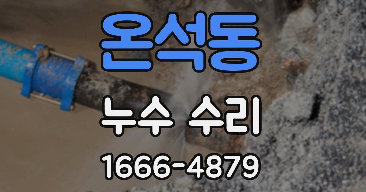온석동 누수 수리