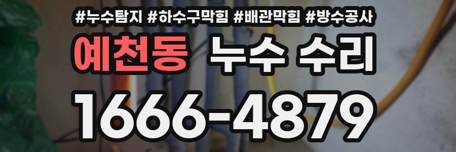 예천동 누수 수리