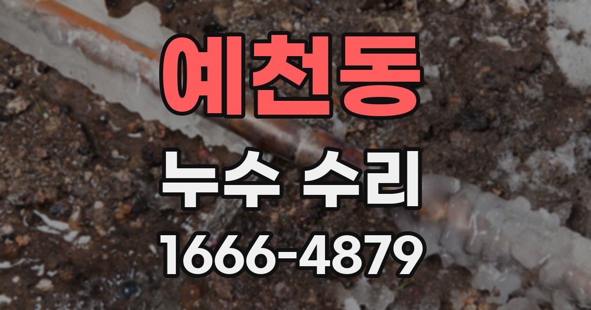 예천동 누수 수리