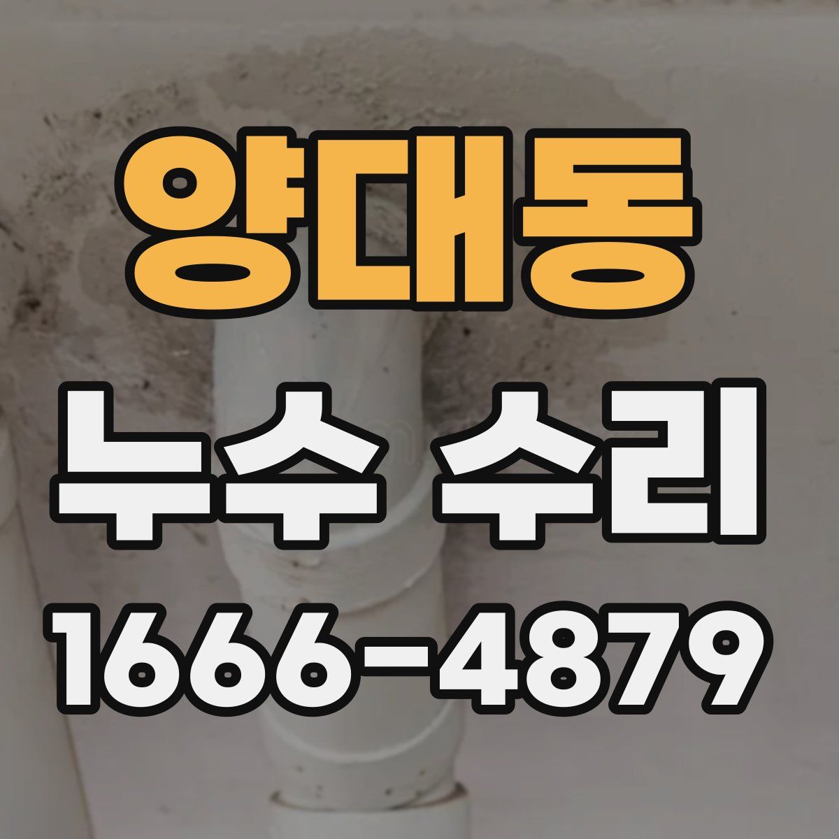 양대동 누수 수리
