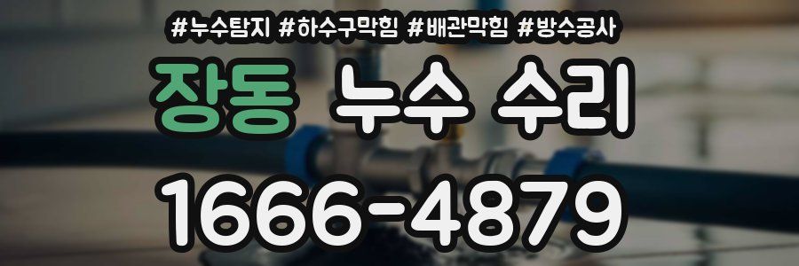 장동 누수 수리