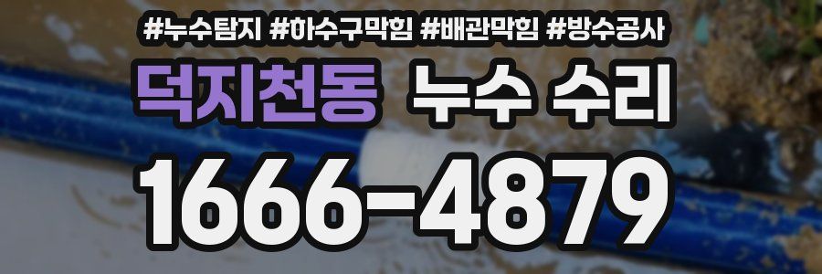 덕지천동 누수 수리