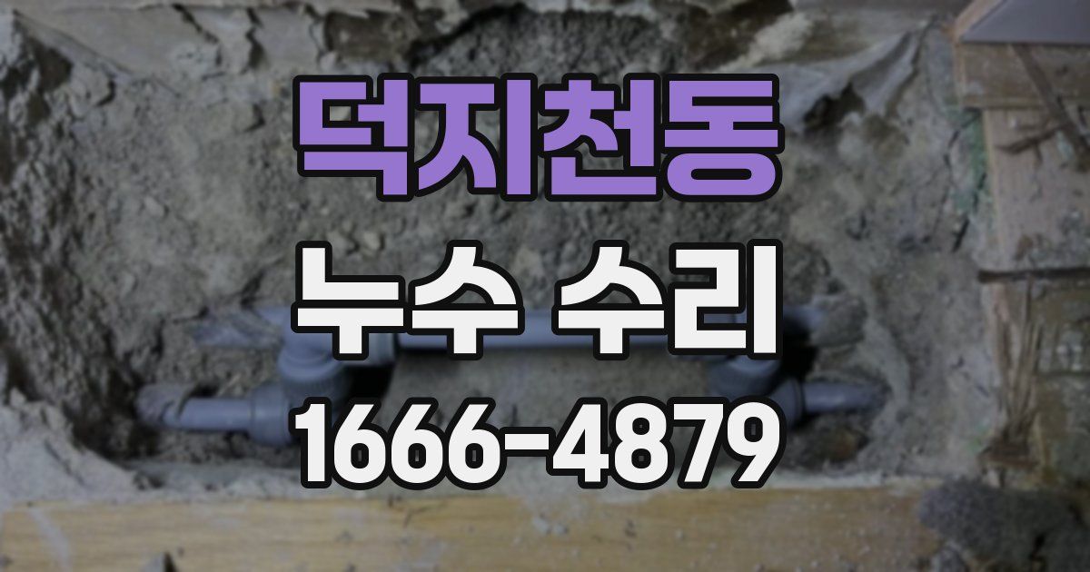 덕지천동 누수 수리