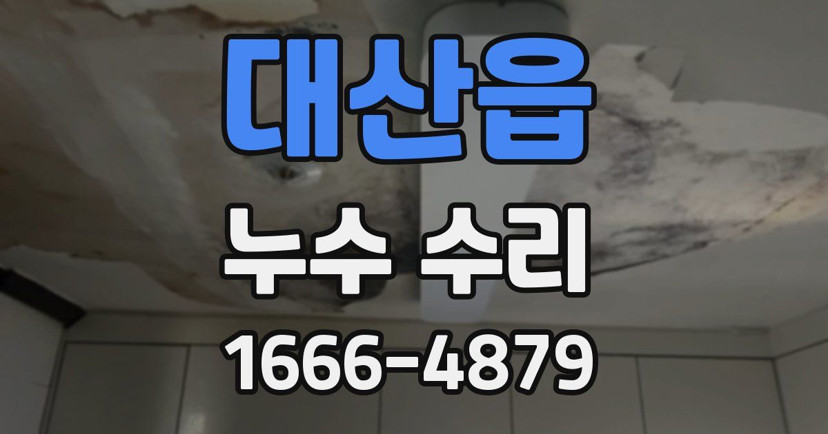 대산읍 누수 수리