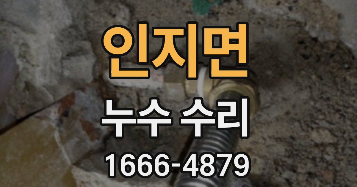 인지면 누수 수리