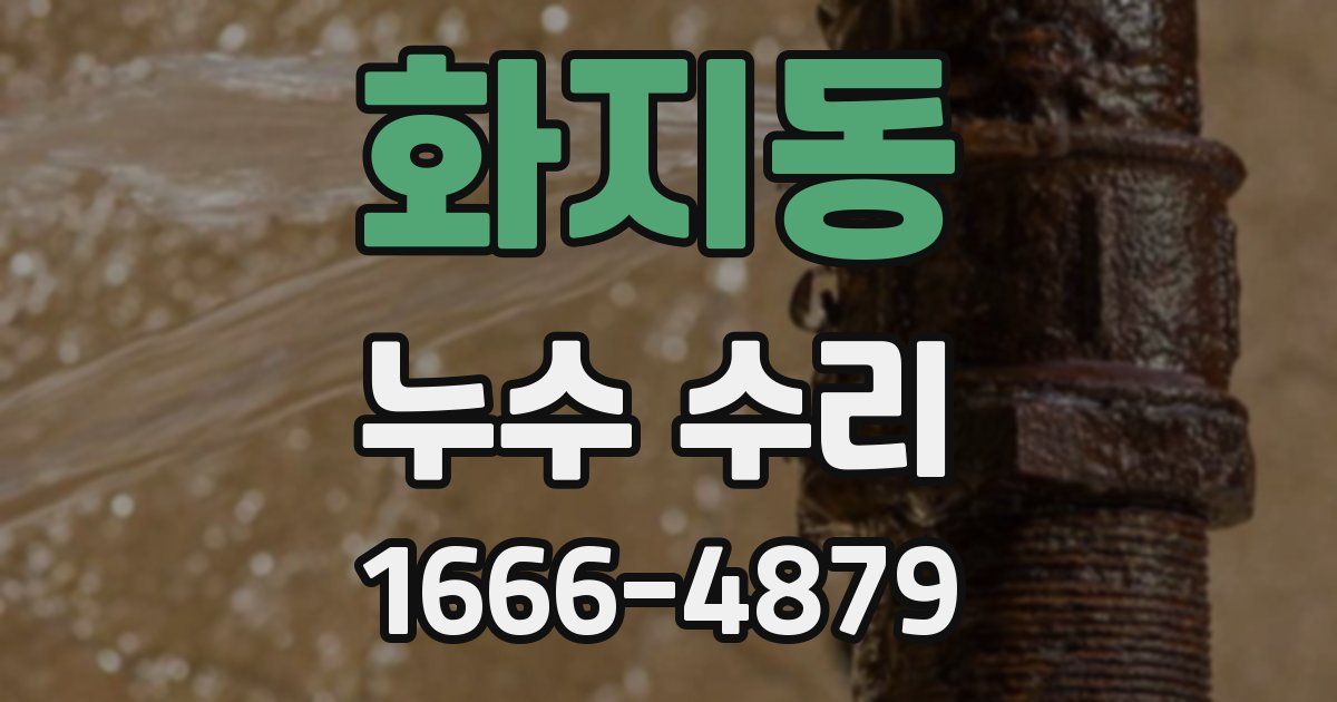 화지동 누수 수리