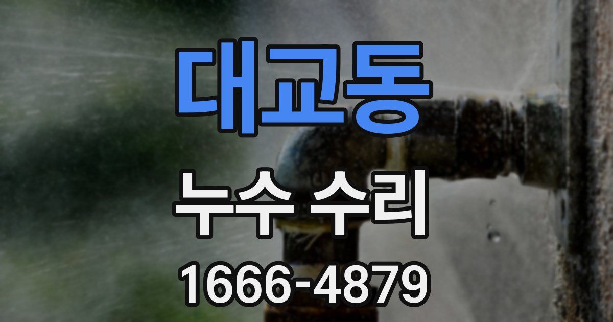 대교동 누수 수리
