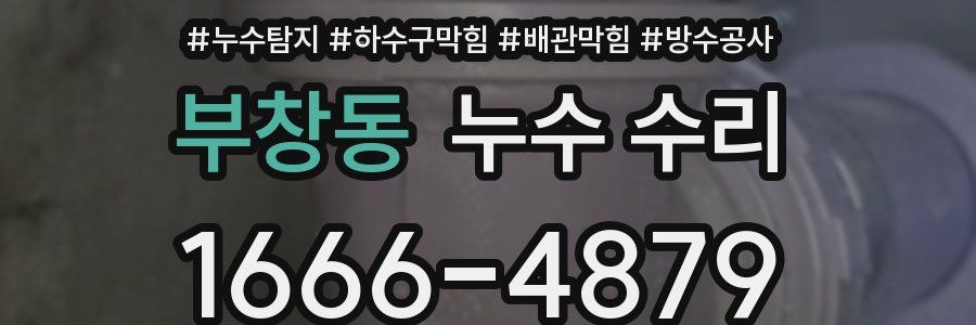 부창동 누수 수리