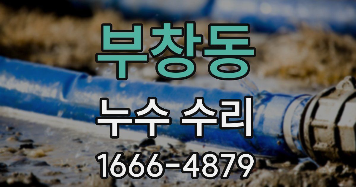 부창동 누수 수리