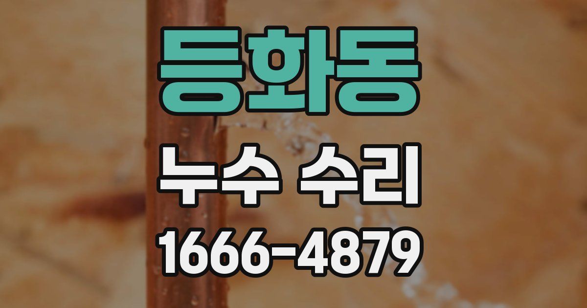 등화동 누수 수리