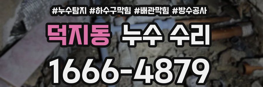 덕지동 누수 수리