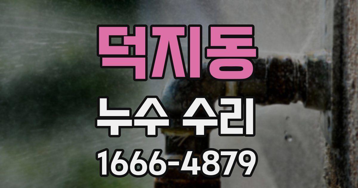덕지동 누수 수리