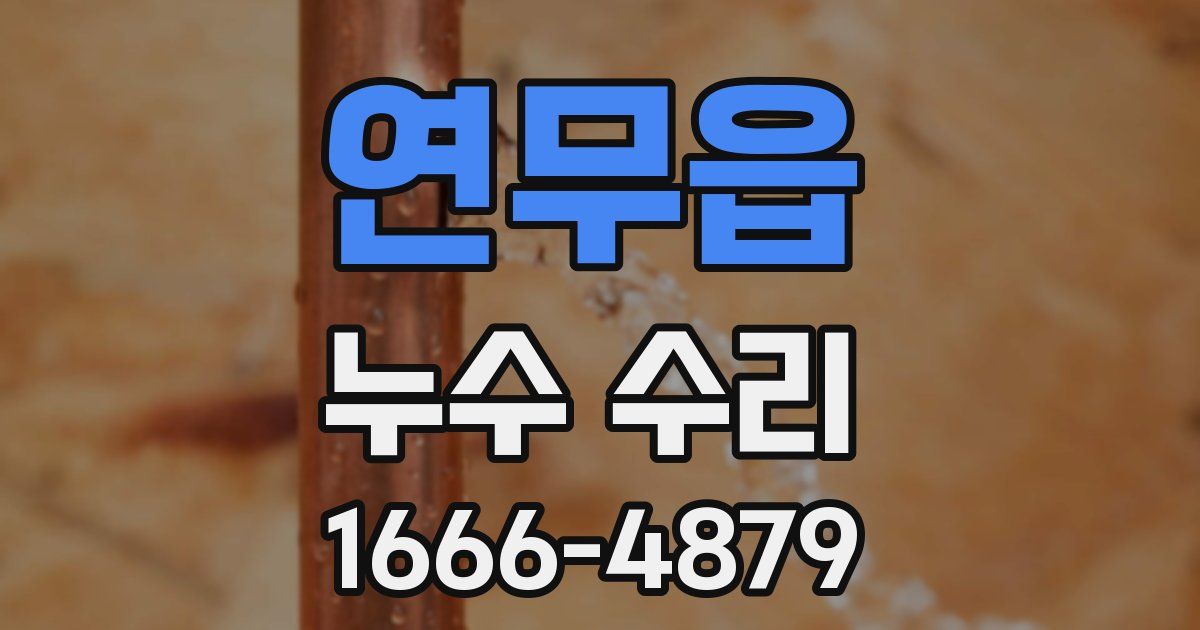 연무읍 누수 수리