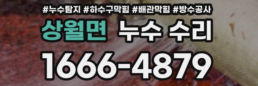 상월면 누수 수리