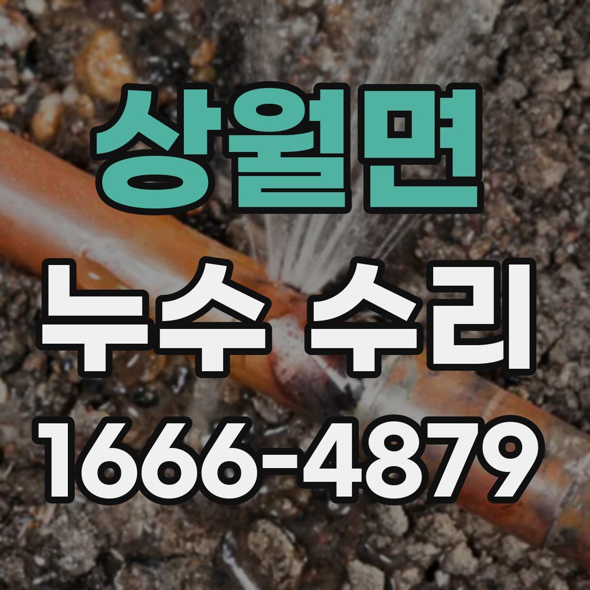 상월면 누수 수리