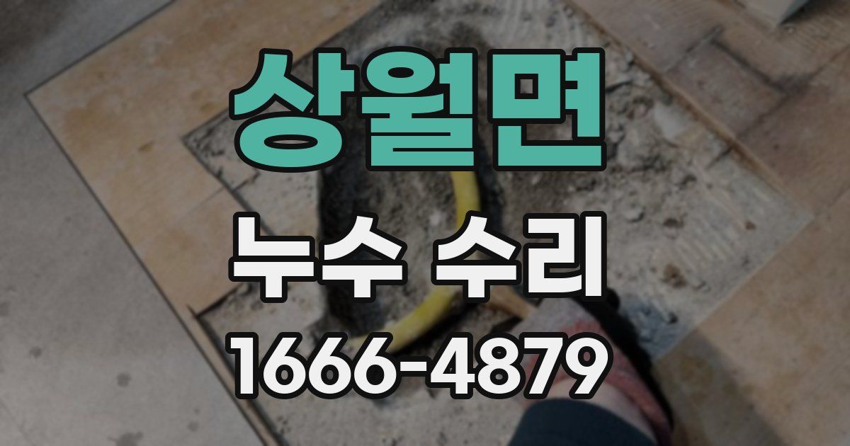 상월면 누수 수리