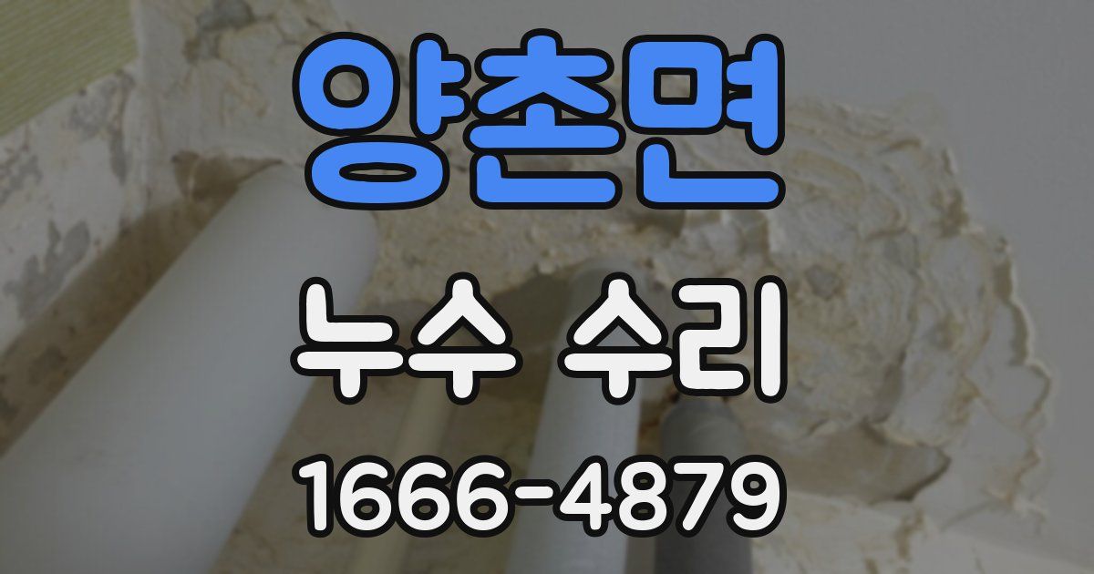 양촌면 누수 수리