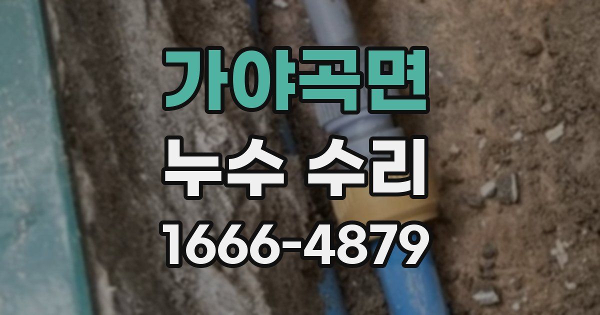 가야곡면 누수 수리