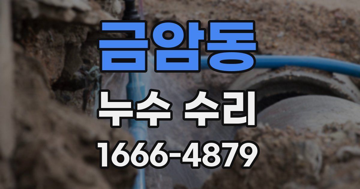 금암동 누수 수리