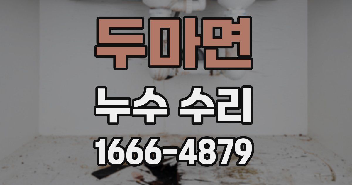 두마면 누수 수리