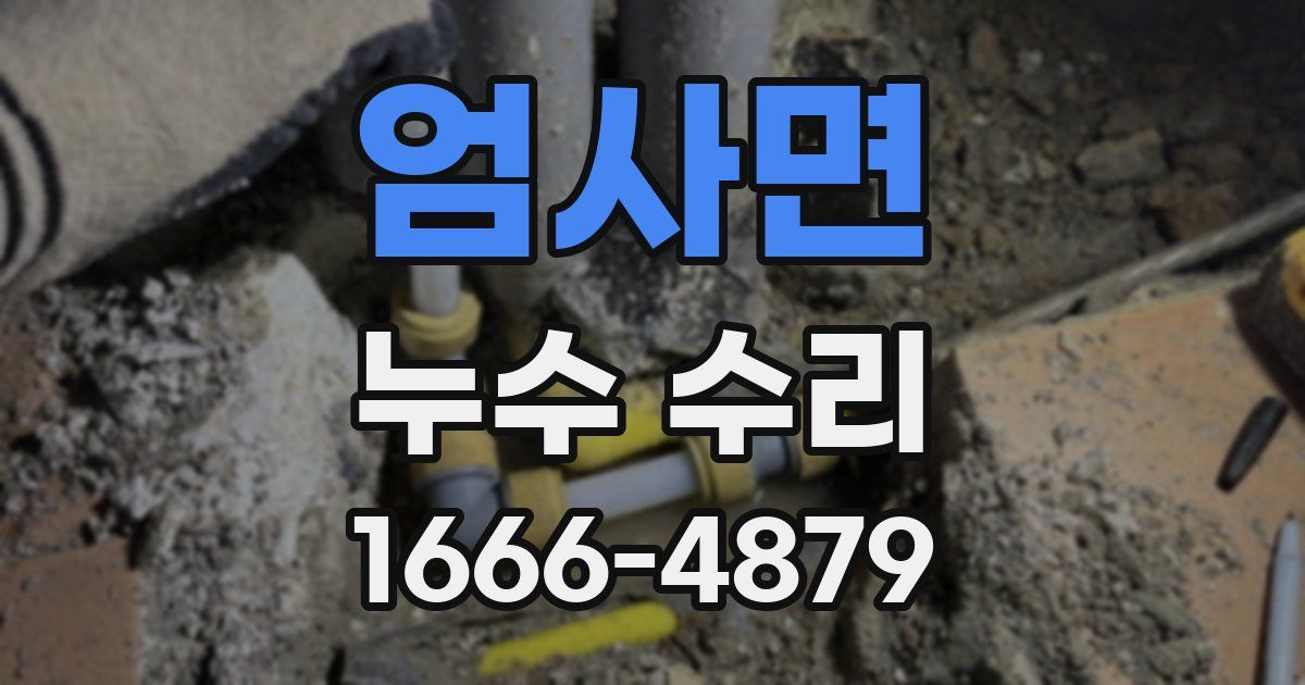 엄사면 누수 수리