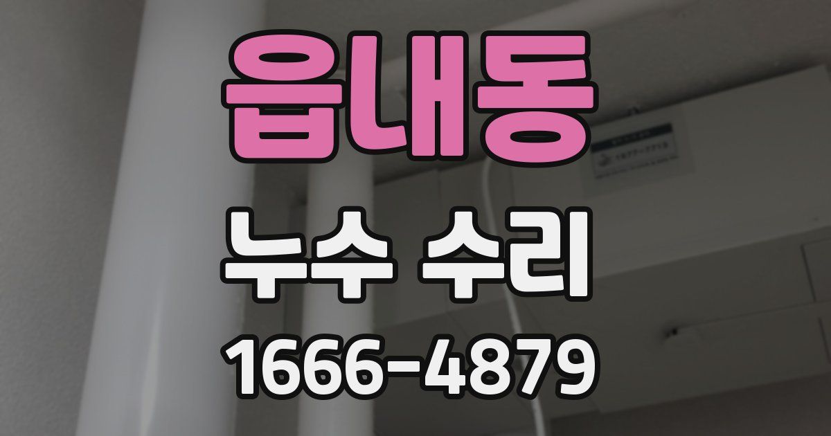 읍내동 누수 수리