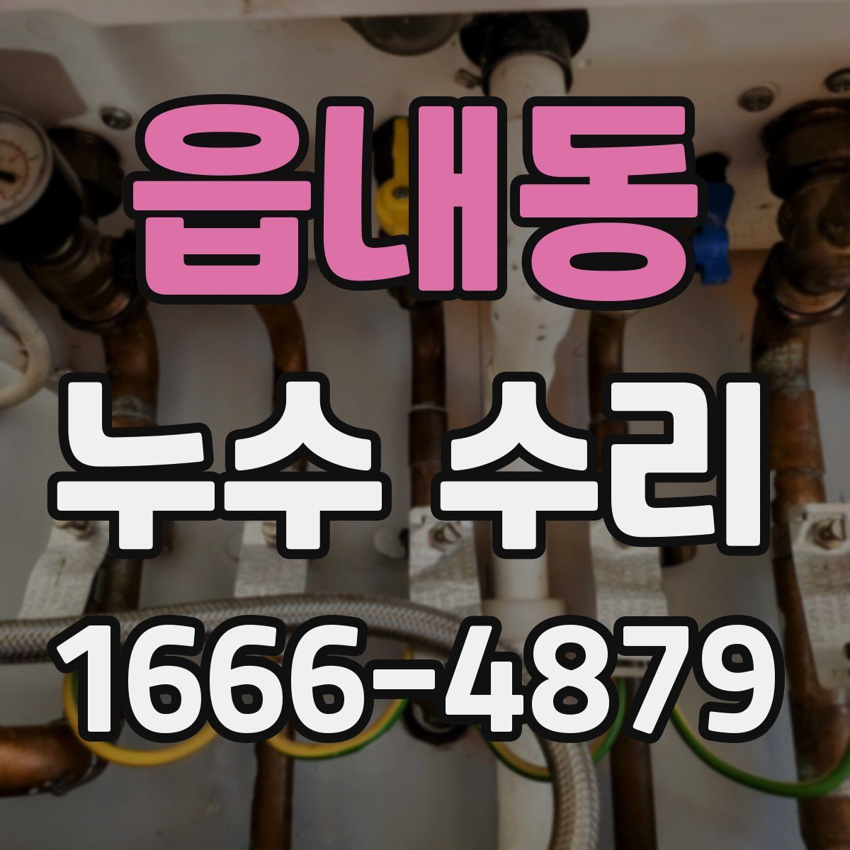 읍내동 누수 수리