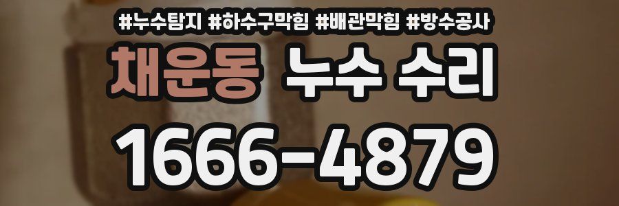 채운동 누수 수리