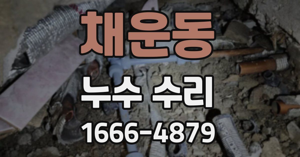 채운동 누수 수리